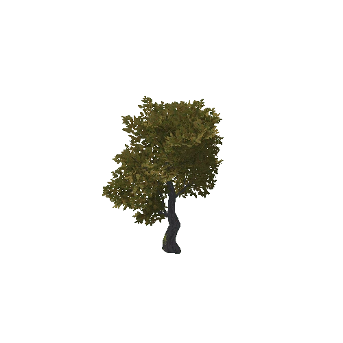 HVR Tree V02 T05 C02